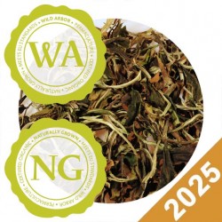 DHARA WHITE TEA
