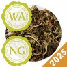 DHARA WHITE TEA