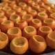PA PAE Mandarin Ruby