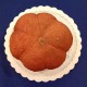PA PAE Mandarin Ruby