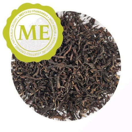 Darjeeling SF 2026 Thurbo DJ-261